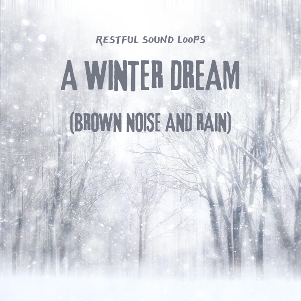 A Winter Dream (Brown Noise and Rain) - Single album cover
