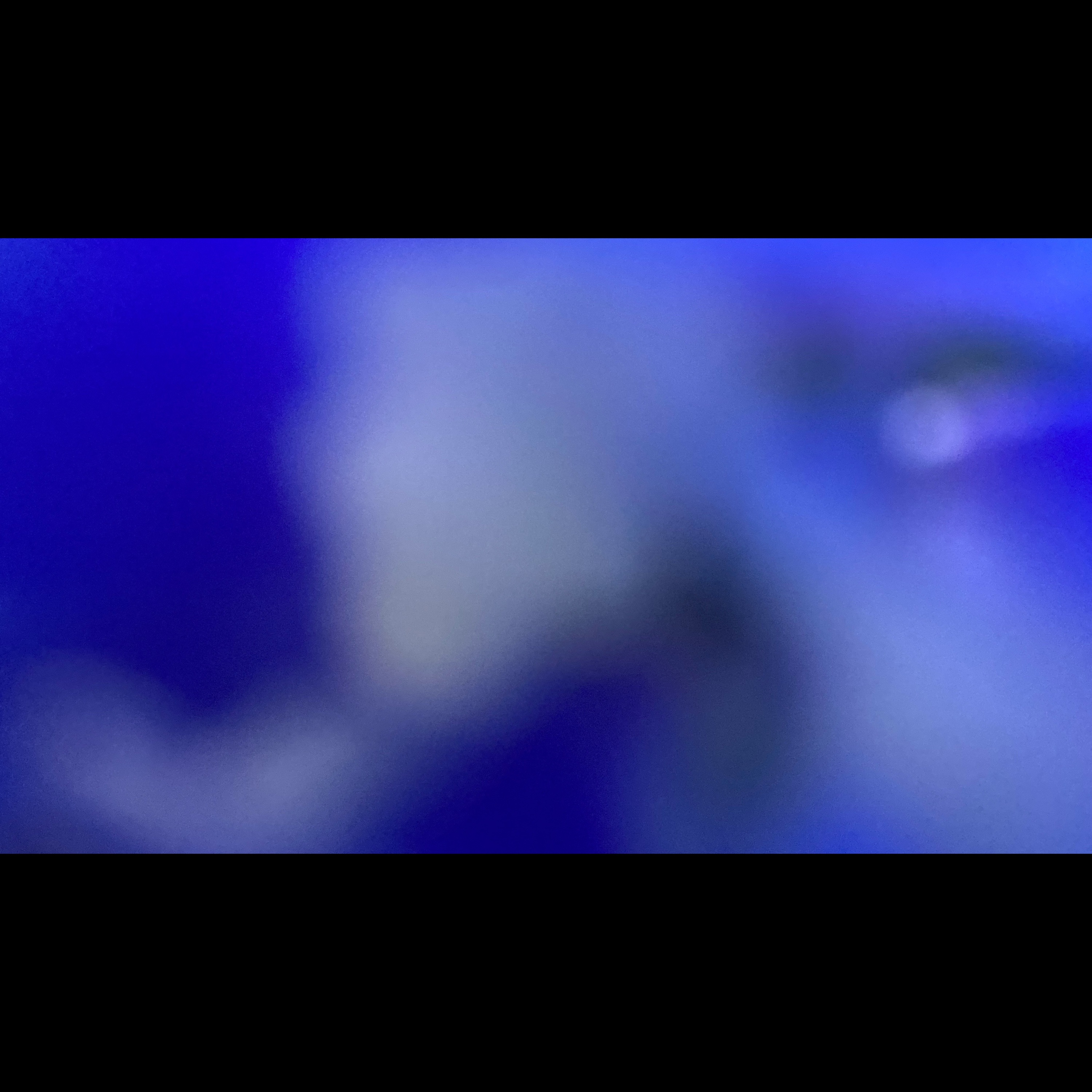 Music For Plants (III & IV) album cover