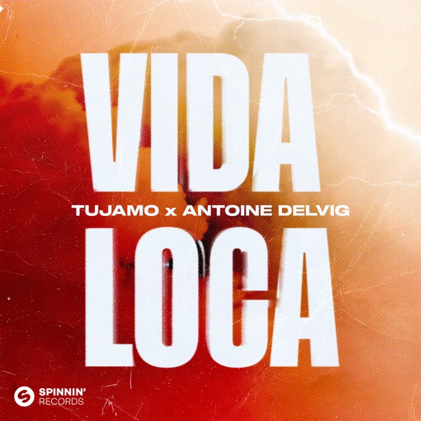 Vida Loca - Single album cover