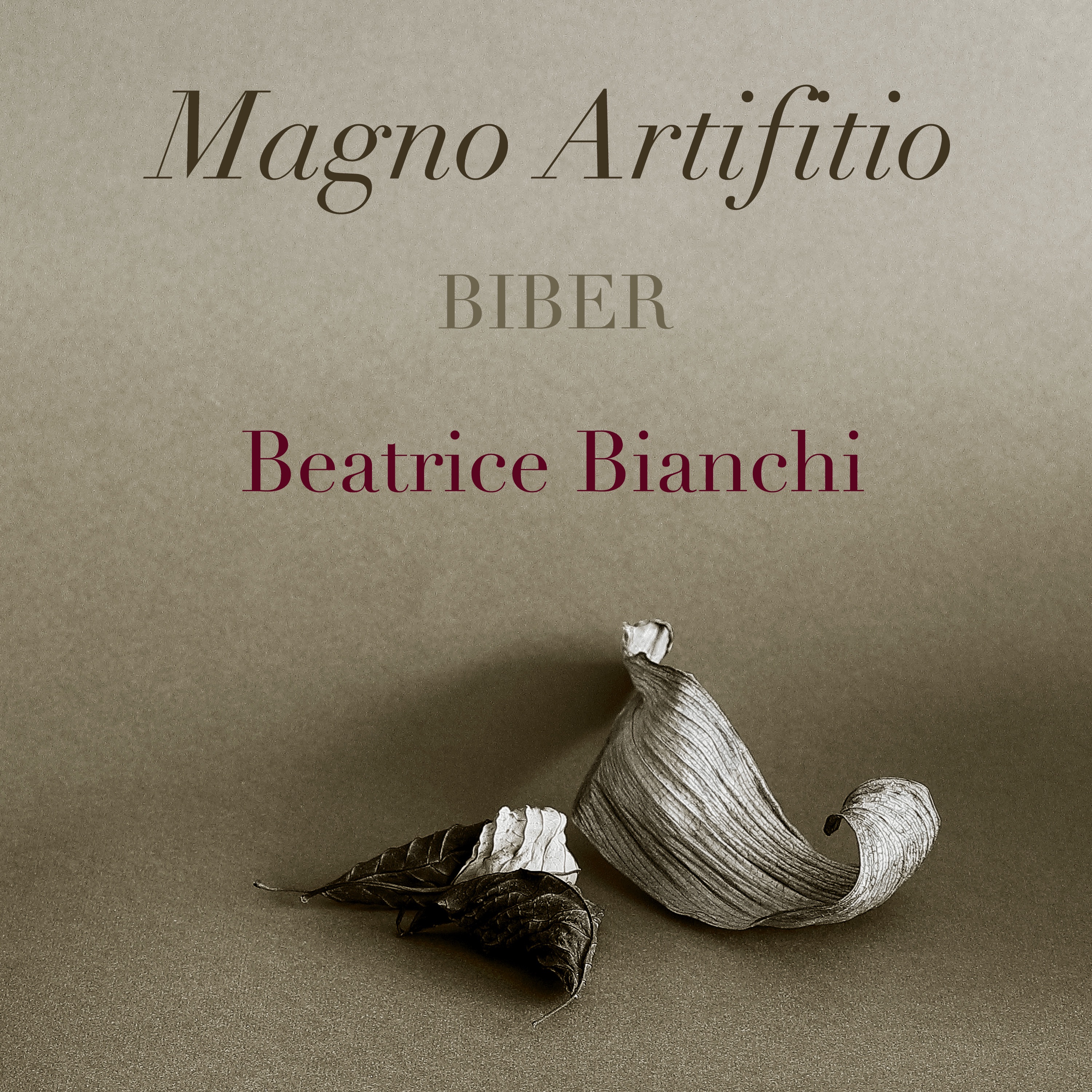 Biber: Magno Artifitio album cover