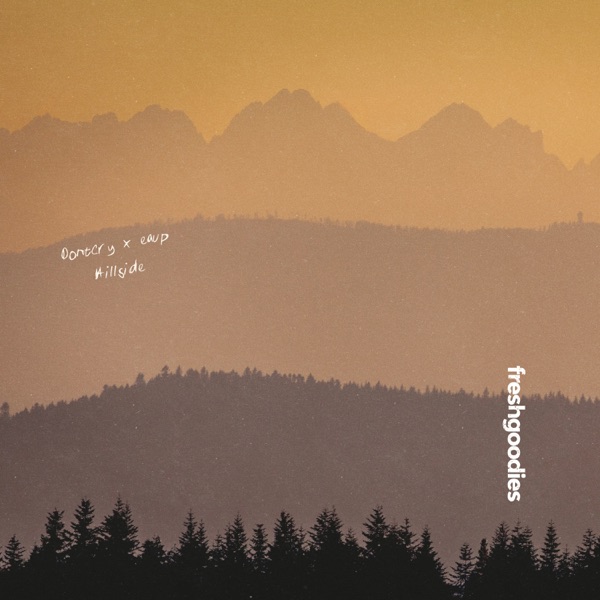 Hillside - Single album cover