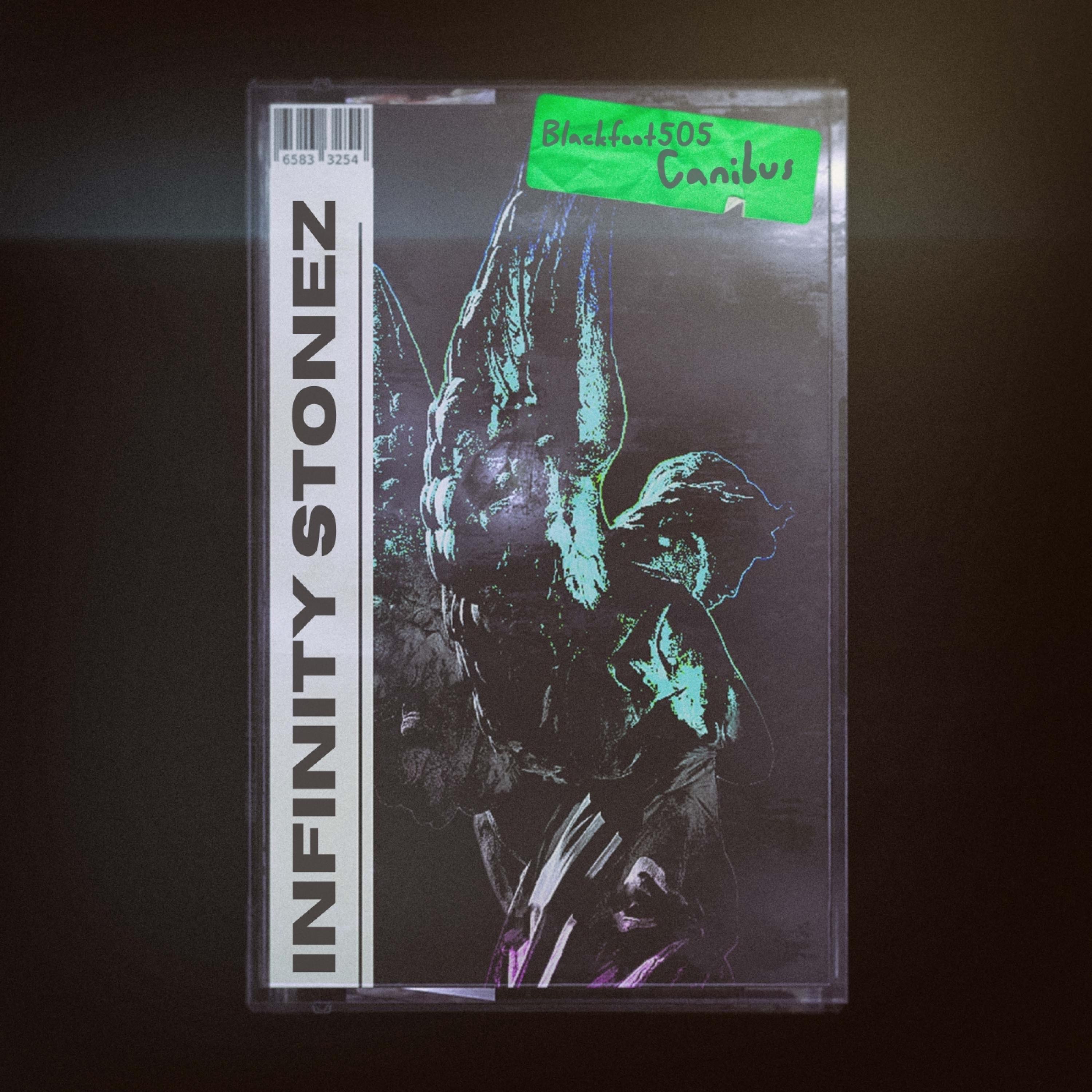 Infinity Stonez (feat. Canibus) - Single album cover