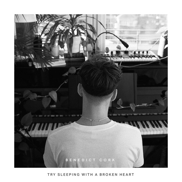 Try Sleeping with a Broken Heart - Single album cover