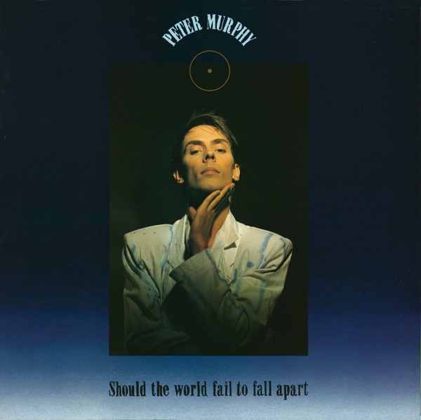 Should the World Fail To Fall Apart - Single album cover
