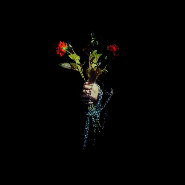 Chin Up Princess - Single album cover