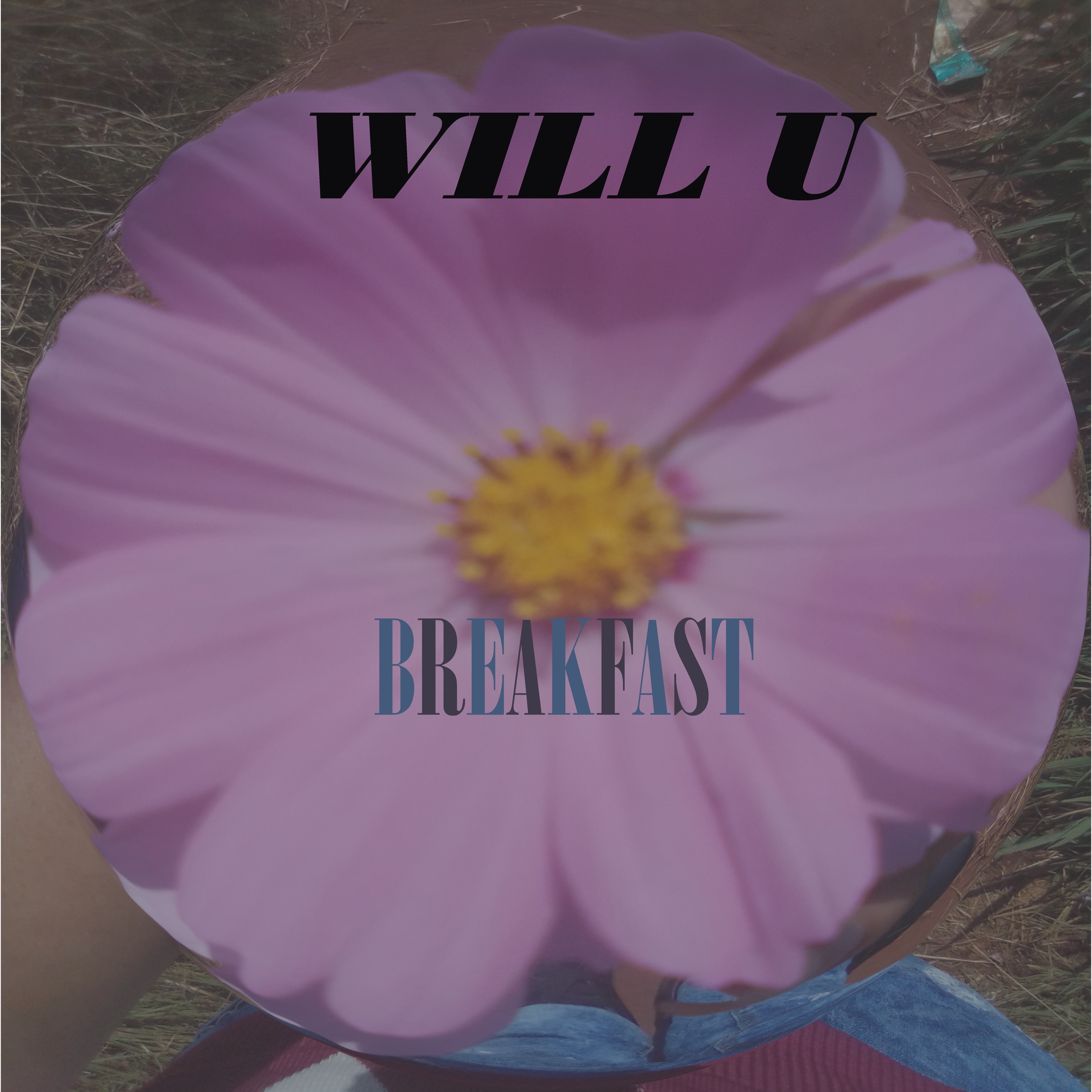 Will U - Single album cover