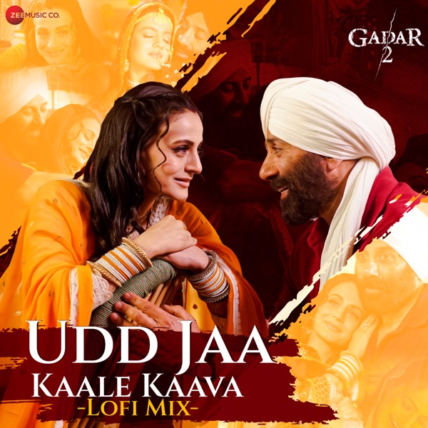 Udd Jaa Kaale Kaava Lofi by DJ Raahul Pai & Deejay Rax - Single album cover