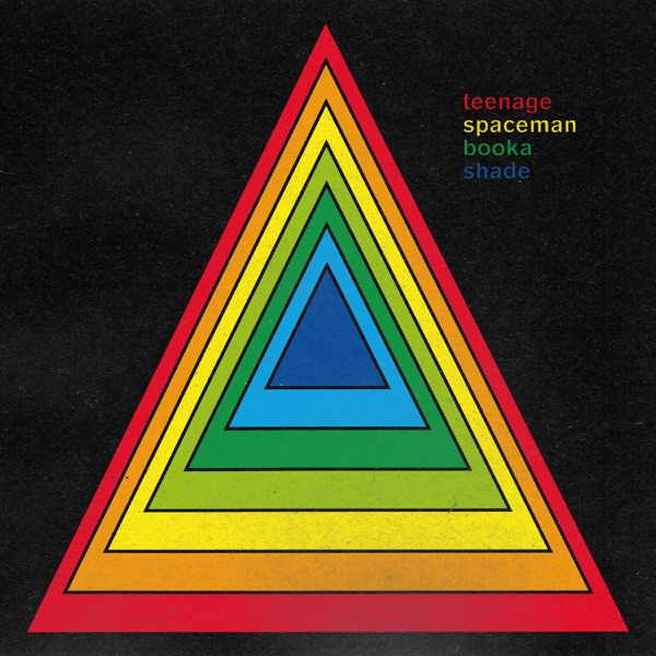 Teenage Spaceman album cover