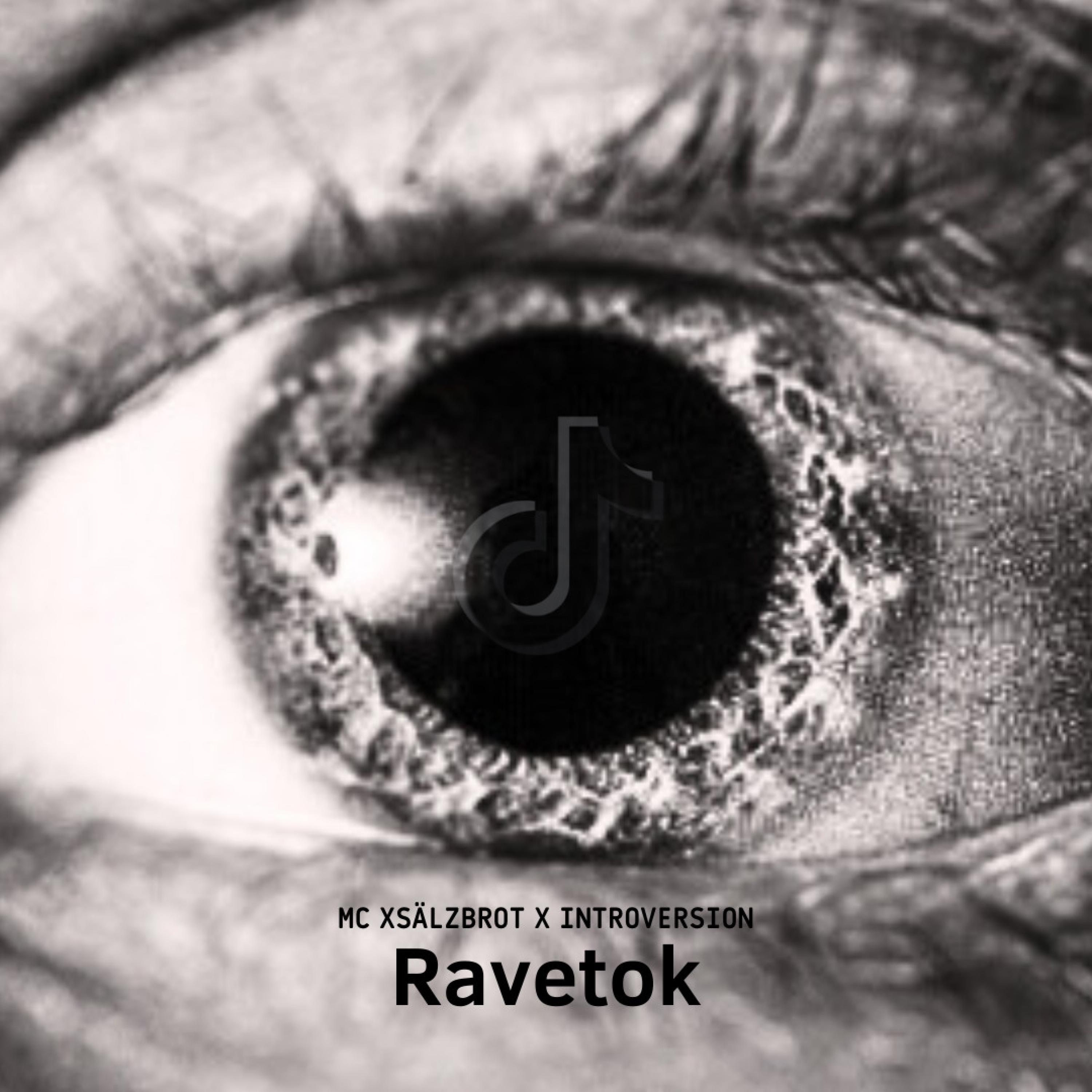 Ravetok (feat. Introversion) - Single album cover