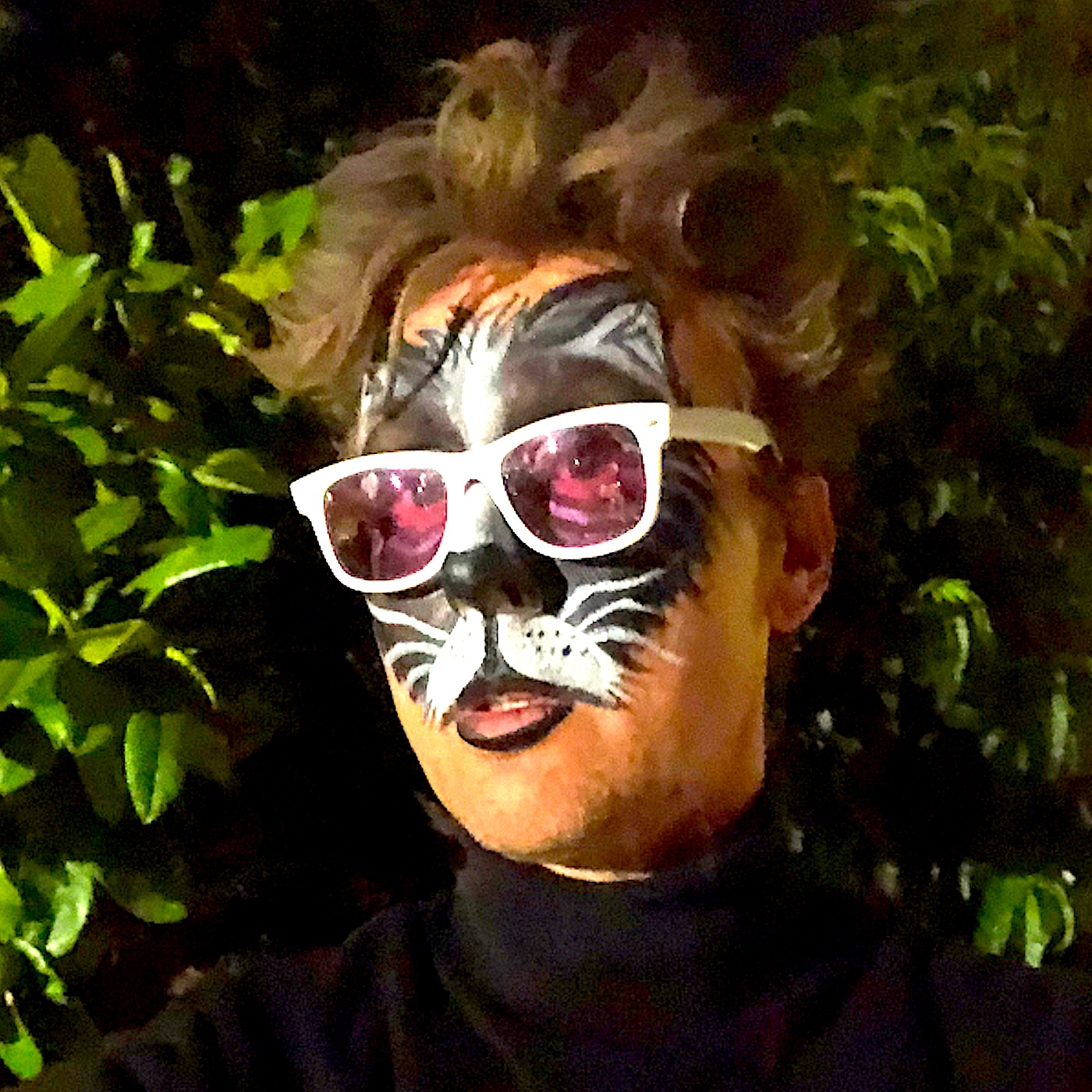 Like a Cat - Single album cover