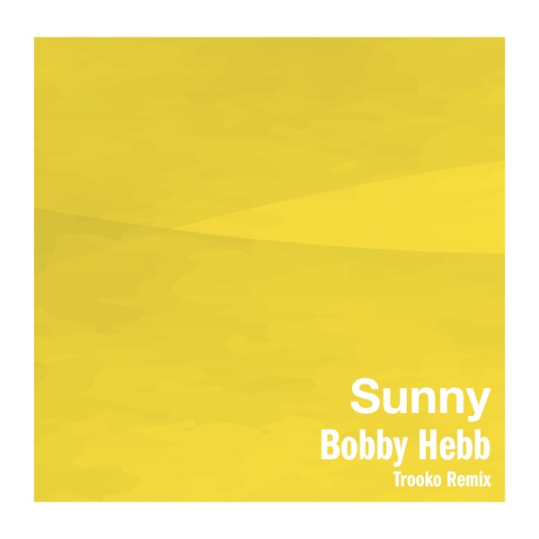 Sunny (Trooko Remix) - Single album cover