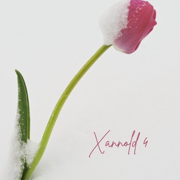 Xannold 4 (feat. Derek) - Single album cover