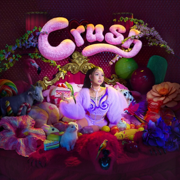 Crush - Single album cover