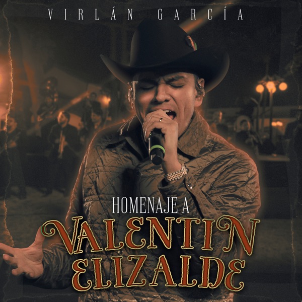 Homenaje a Valentín Elizalde (En Vivo) - Single album cover