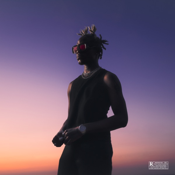 FAREWELL album cover