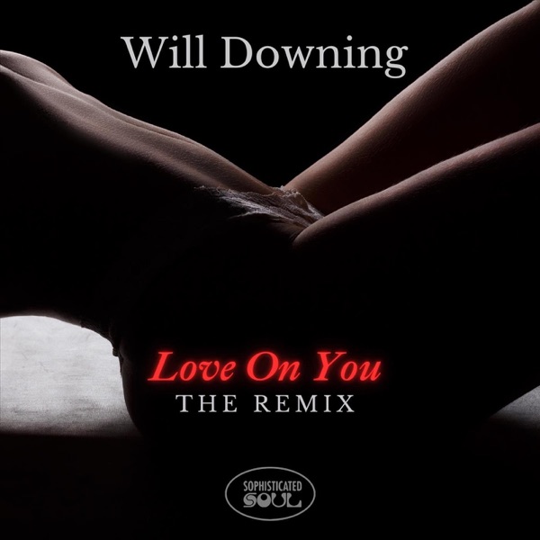 LOVE ON YOU (REMIX) - Single album cover