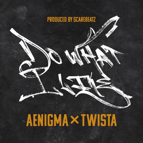 Do What I Like (feat. Twista) - Single album cover