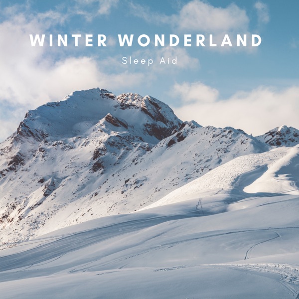 Winter Wonderland Sleep Aid album cover