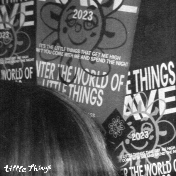 Little Things - Single album cover