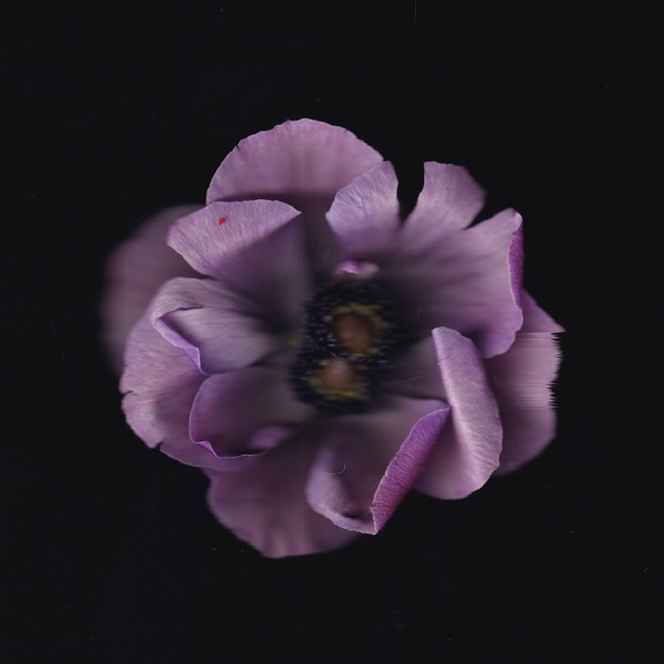 Love U - EP album cover