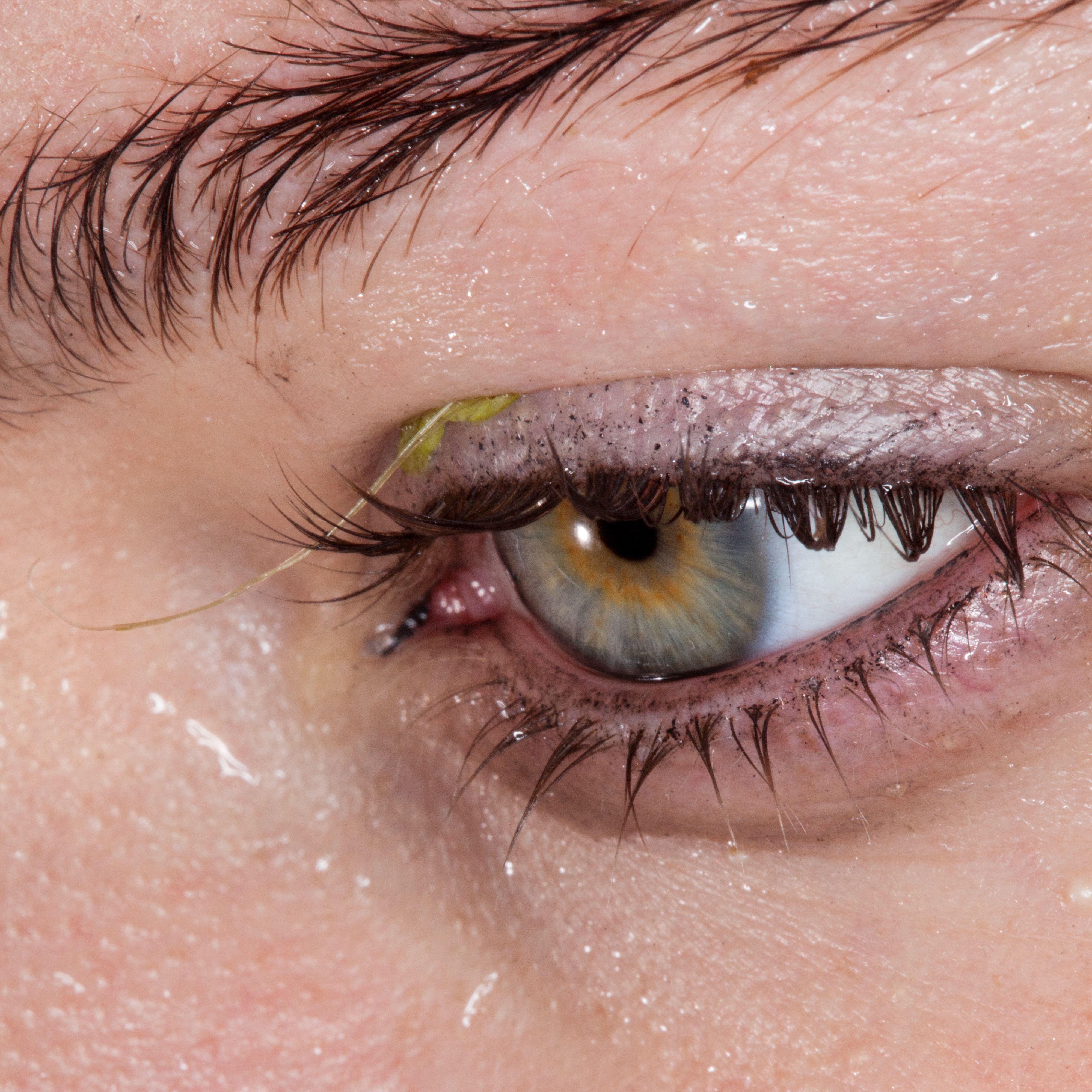 These Elements - EP album cover