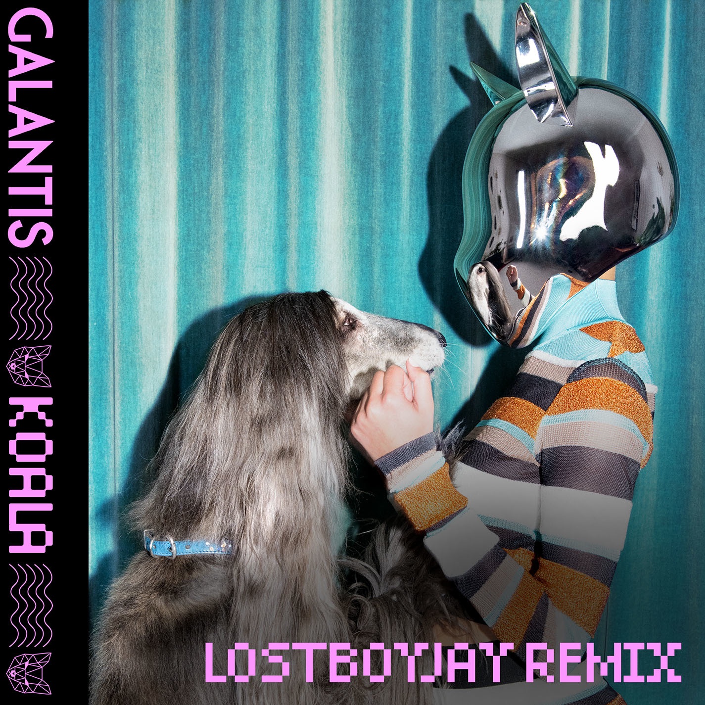 Koala (LOSTBOYJAY Remix) - Single album cover