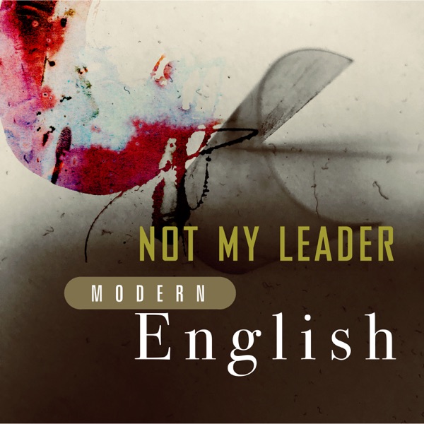Not My Leader - Single album cover