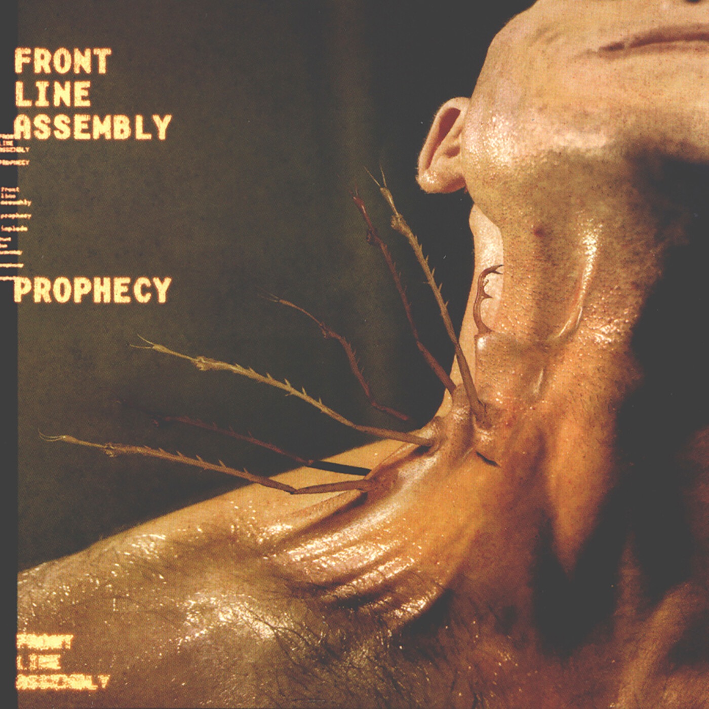 Prophecy - EP album cover