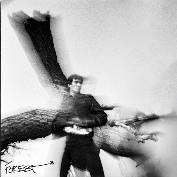 FOREST. - Single album cover
