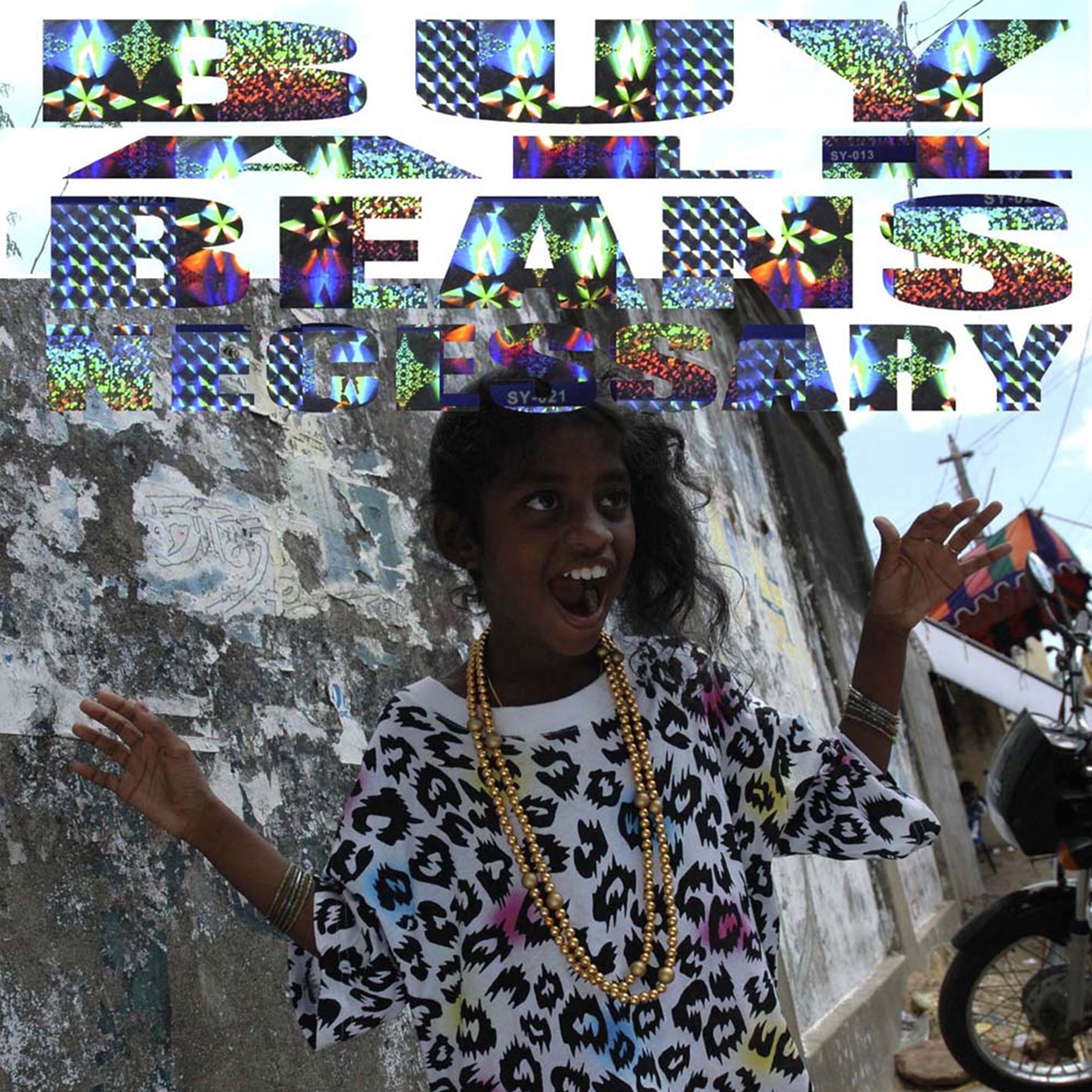 BirdFlu - Single album cover