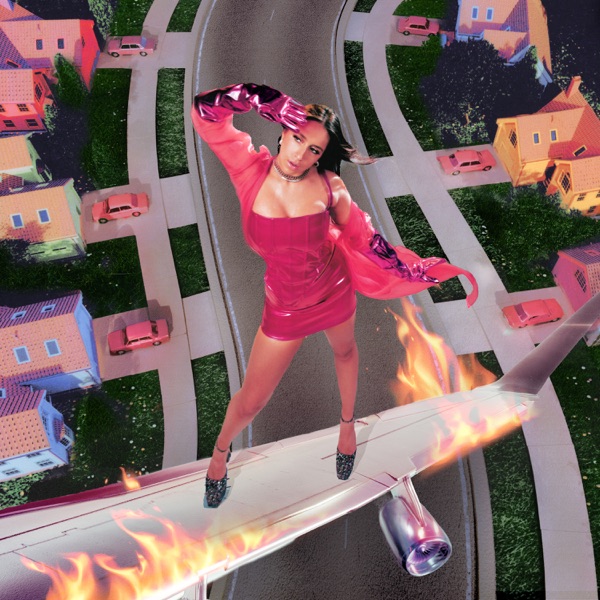 i used to think i could fly album cover