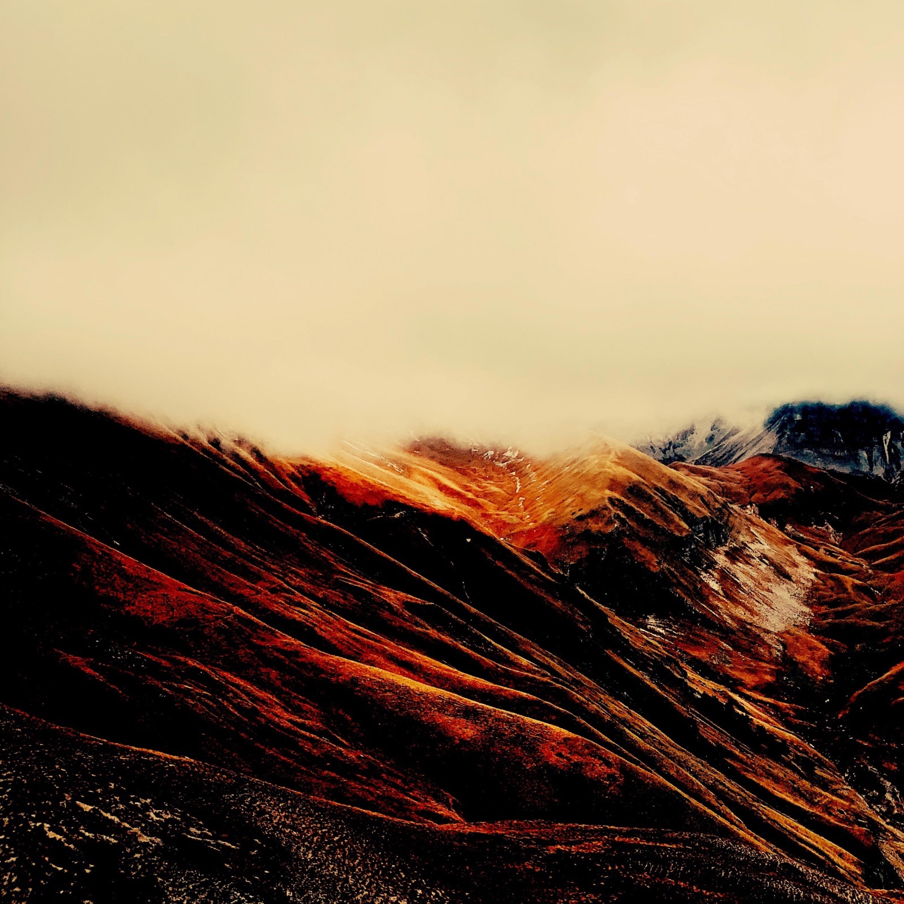 Four Forgetting album cover