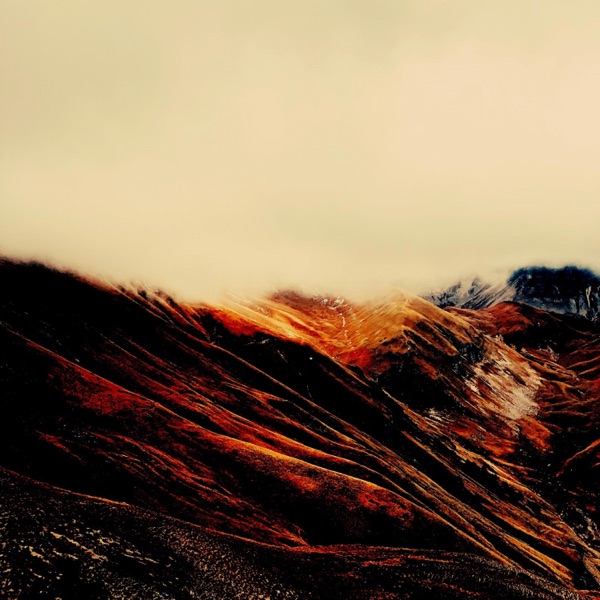 Four Forgetting album cover