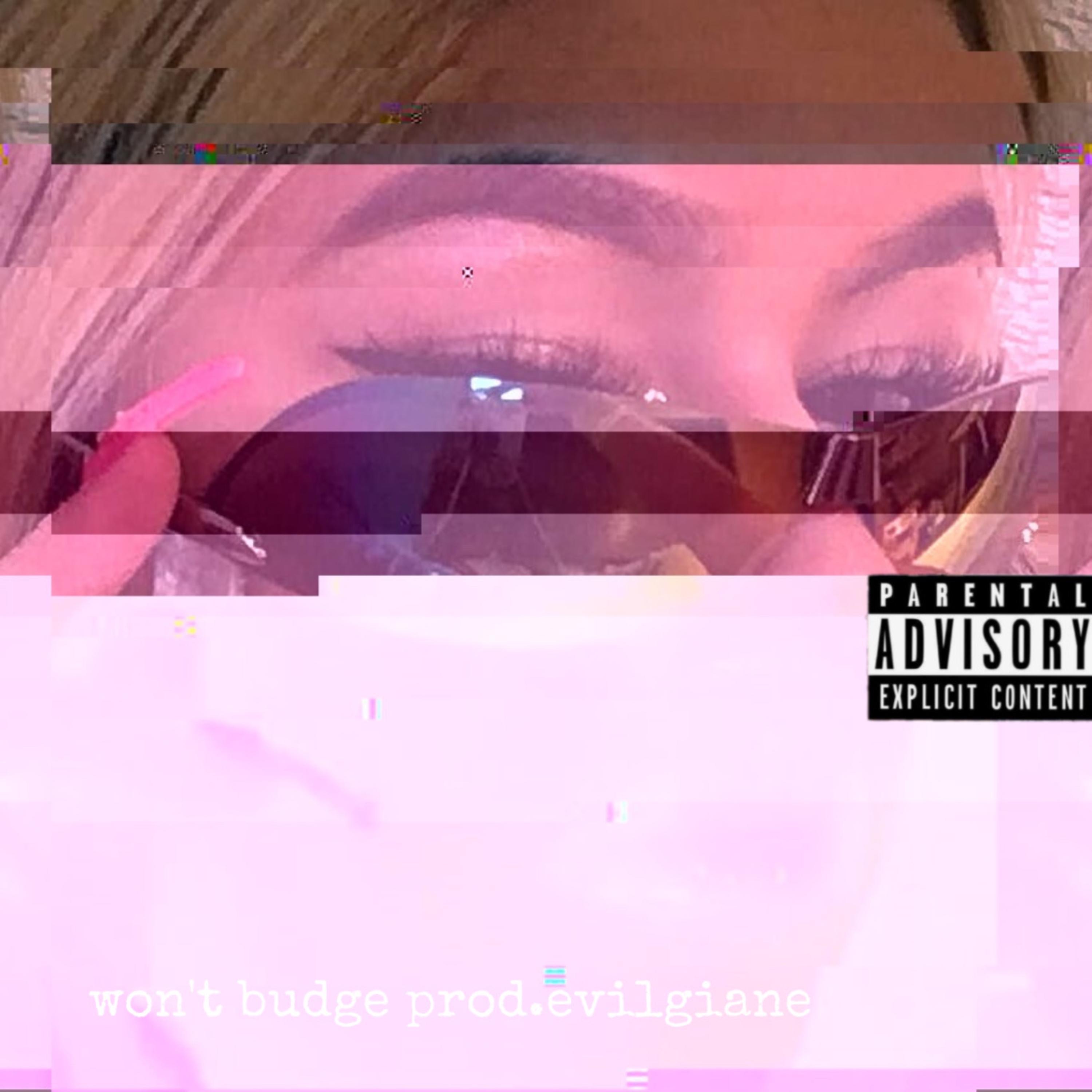 Wont Budge (feat. EvilGiane) - Single album cover