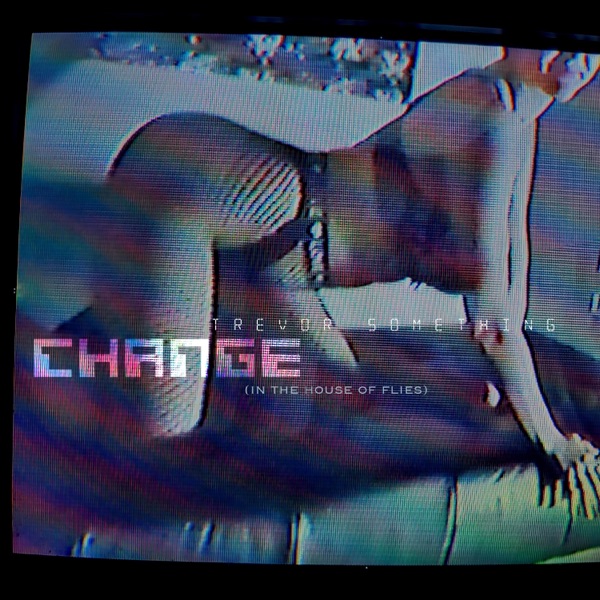 Change (In the House of Flies) - Single album cover
