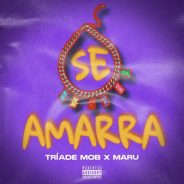 Se Amarra (feat. Pajé, Gois, Jamal & Pedrin) - Single album cover