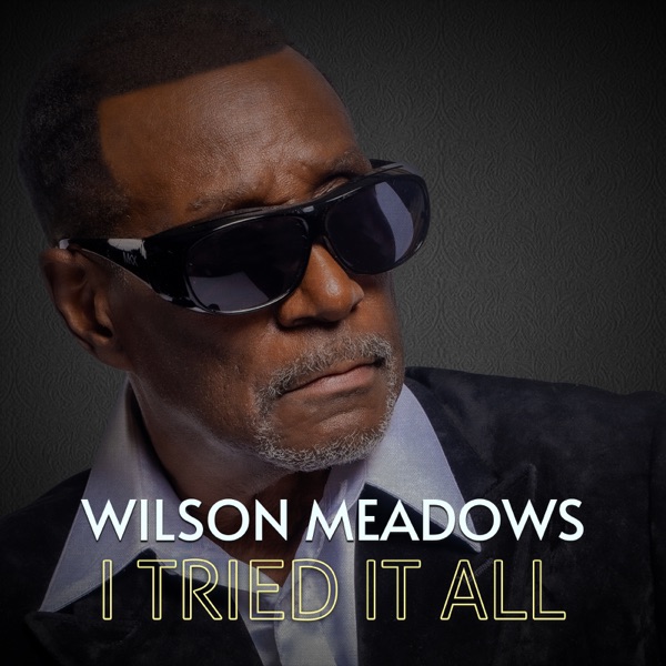I Tried It All - Single album cover