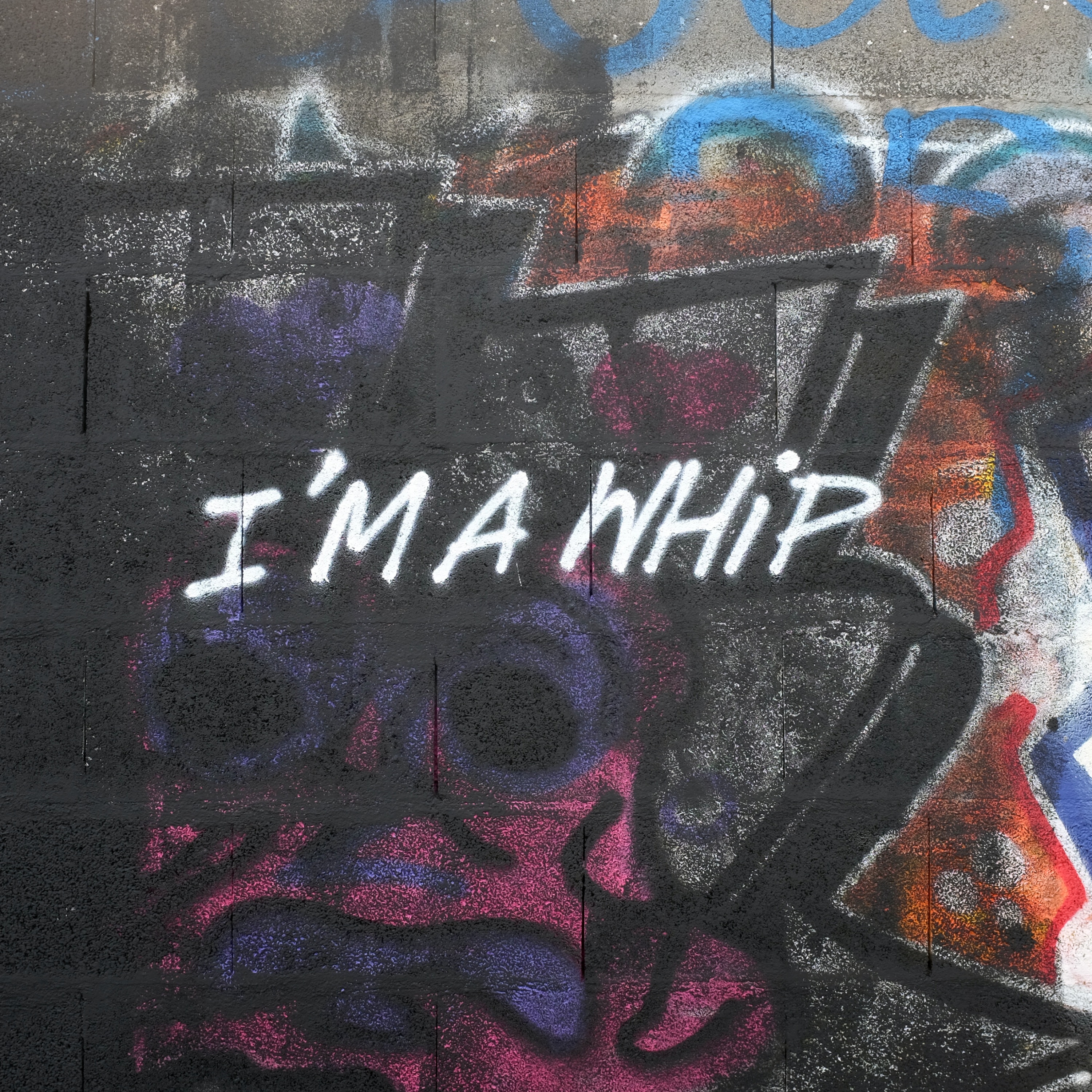 I'm a Whip - Single album cover