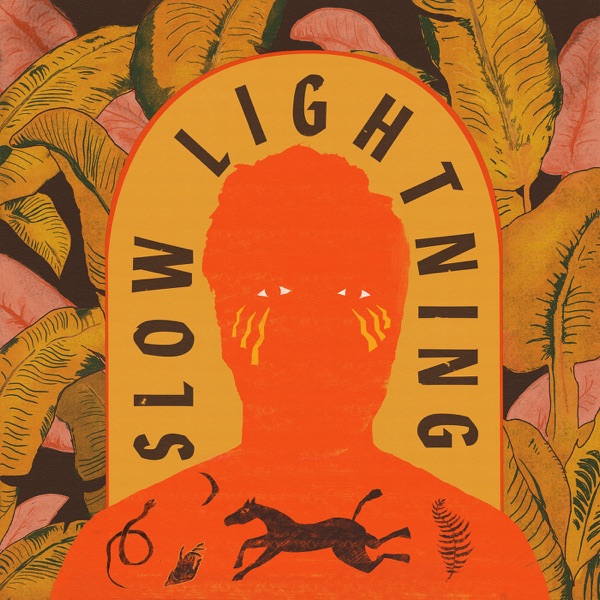 Slow Lightning album cover