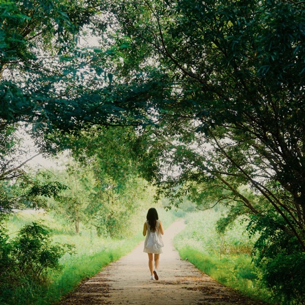The summer night - Single album cover