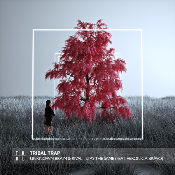 Stay the Same - Single album cover