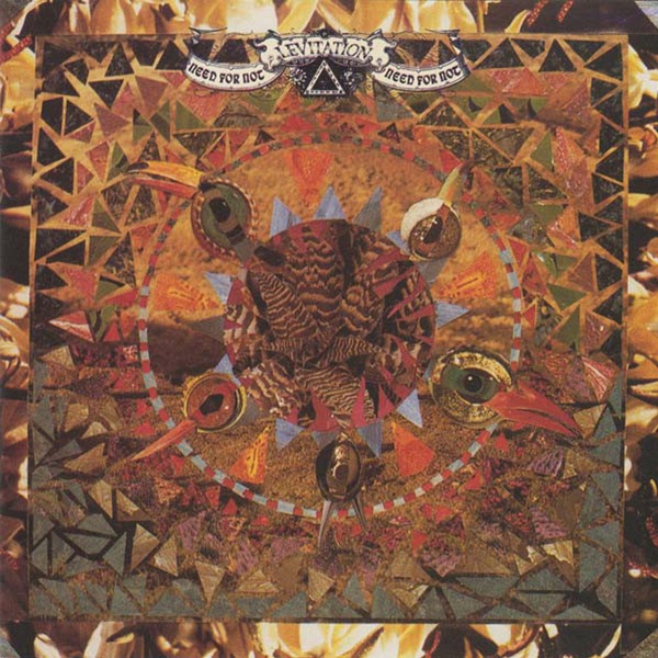 Need for Not album cover