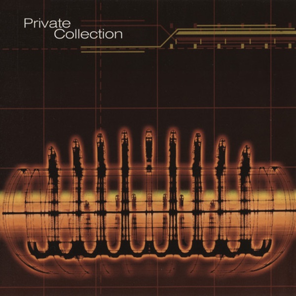 Private Collection - Single album cover