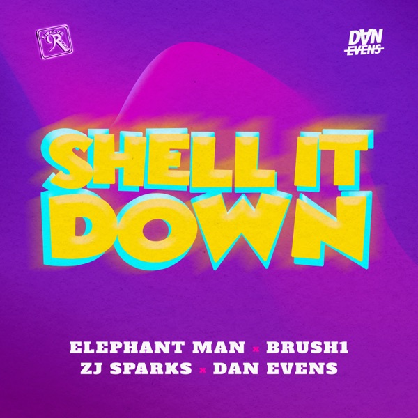 Shell It Down (feat. Brush1 the Road Marshal) - Single album cover