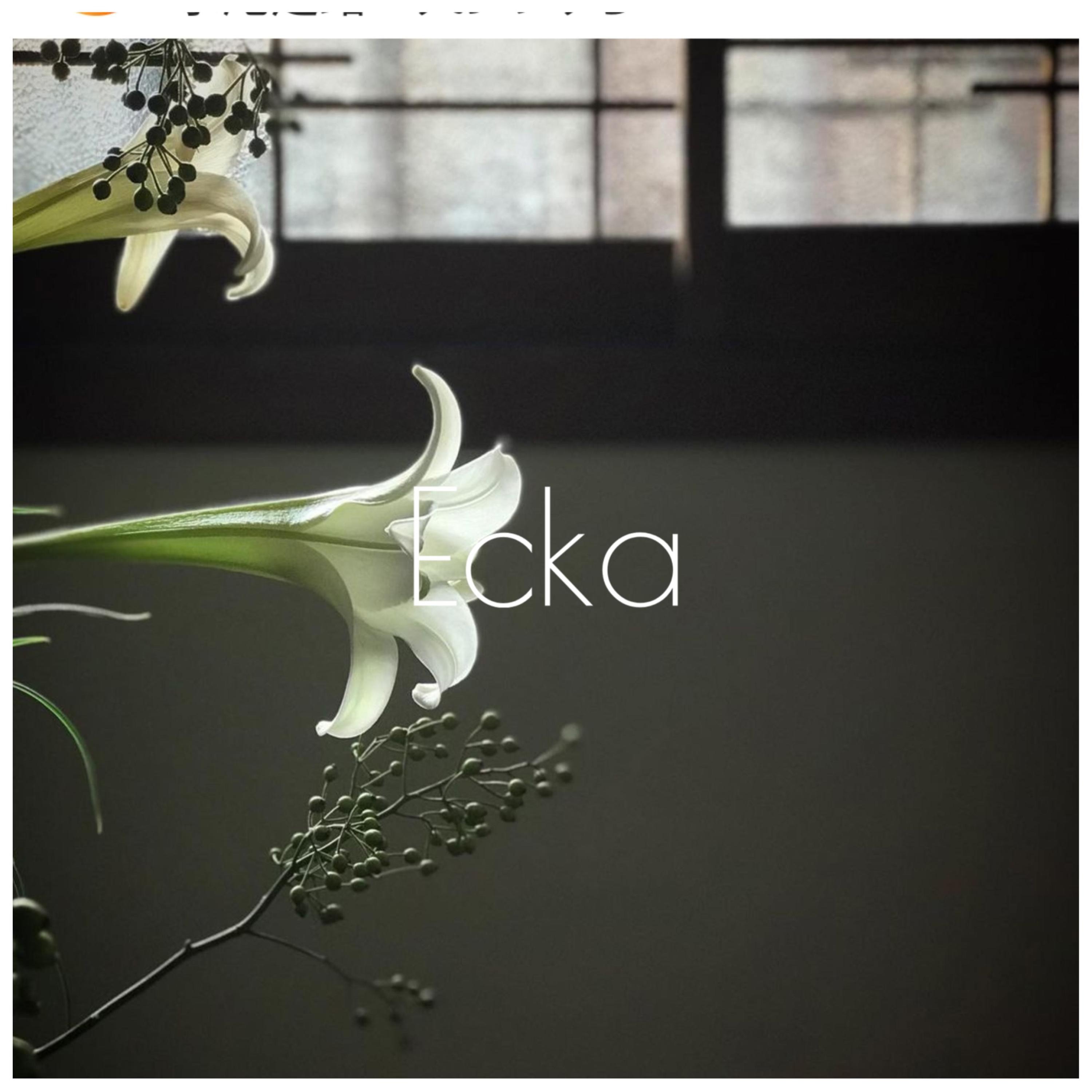 Ecka album cover