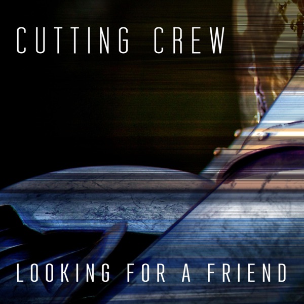 Looking For a Friend (Radio Edit) - Single album cover