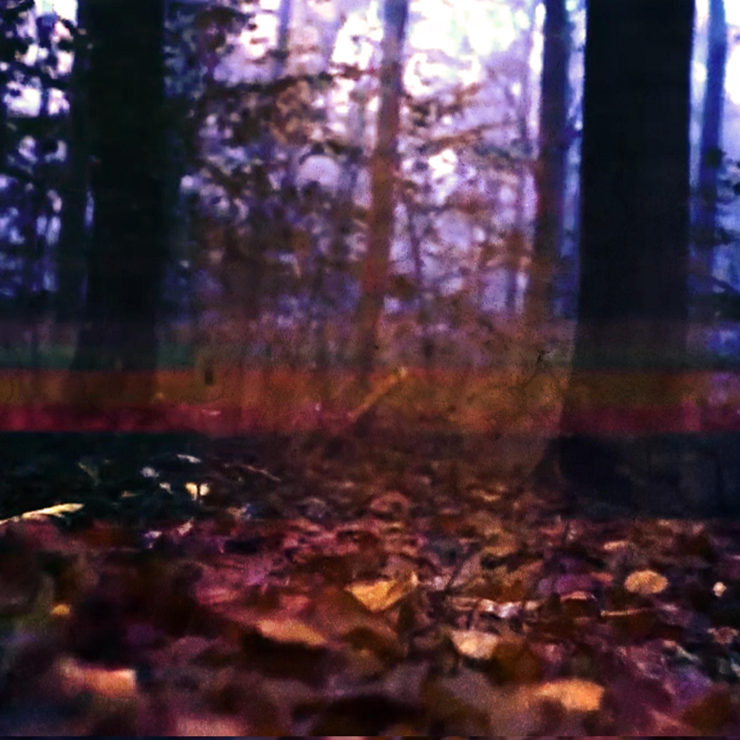Into the Blue (Glitch Version) - Single album cover