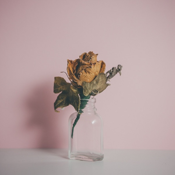 Belong (feat. Kimbra) - Single album cover