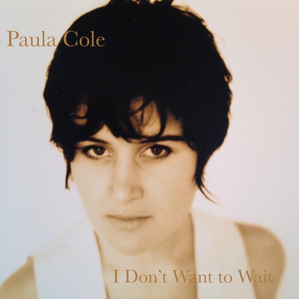 I Don't Want to Wait (Dawson's Creek Theme) - Single album cover