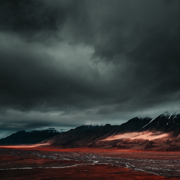 The Night album cover